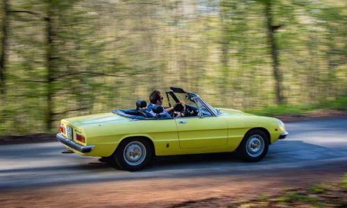 Bierhenke-Alfa-Spider-2000-10