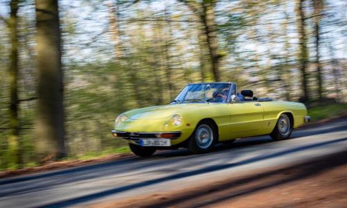 Bierhenke-Alfa-Spider-2000-11