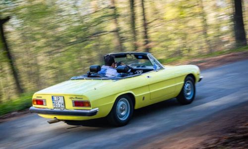 Bierhenke-Alfa-Spider-2000-2