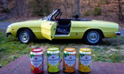 Bierhenke-Alfa-Spider-2000-3