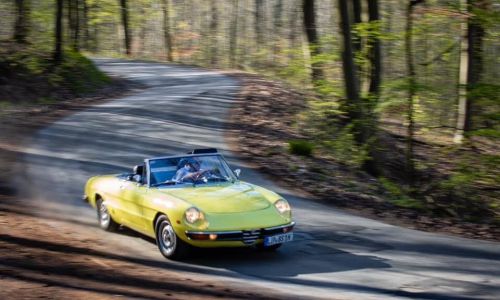Bierhenke-Alfa-Spider-2000-6